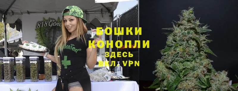 Шишки марихуана OG Kush  Георгиевск 